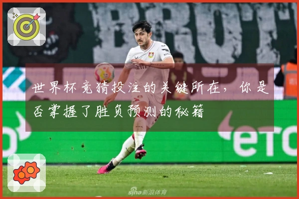 世界杯竞猜投注的关键所在，你是否掌握了胜负预测的秘籍