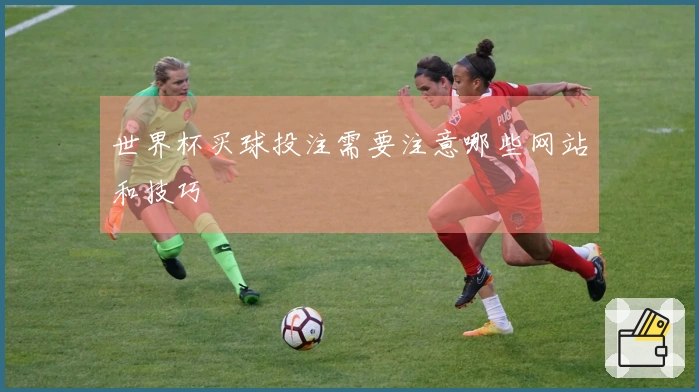 世界杯买球投注需要注意哪些网站和技巧
