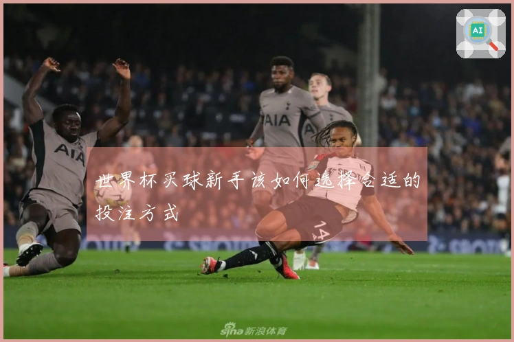 世界杯买球新手该如何选择合适的投注方式