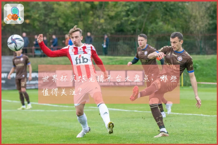 世界杯买球竞猜平台大盘点，哪些值得关注？