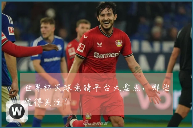 世界杯买球竞猜平台大盘点，哪些值得关注？